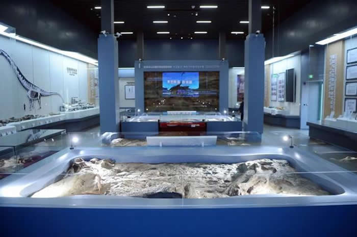 �Ӽ����������ȫ������