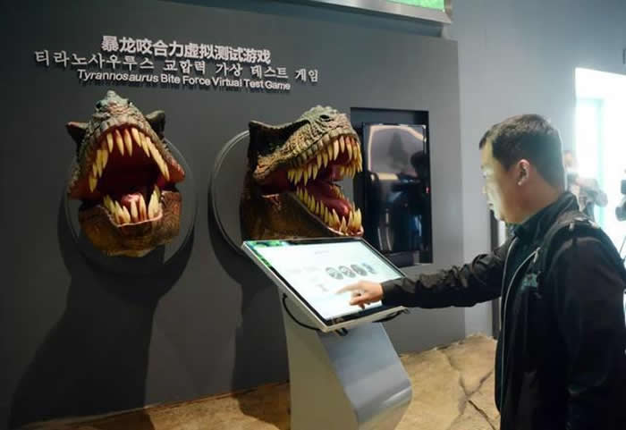 �Ӽ����������ȫ������