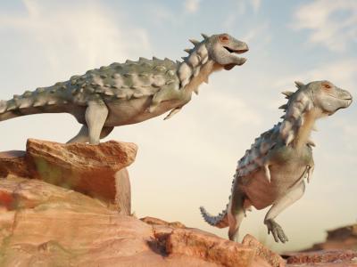 阿根廷出土新种素食恐龙“石冠持盾者” 大小如家猫全身盔甲