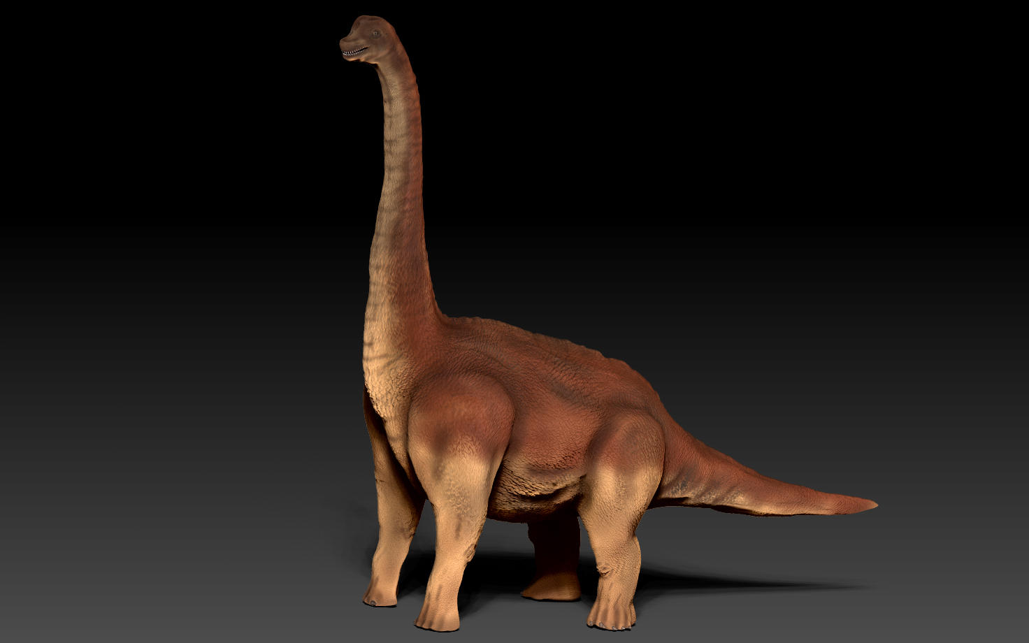 雷龙和梁龙这样的巨型蜥脚类恐龙如何在陆地上支撑其巨大的身体
