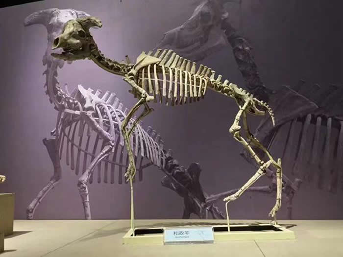 �������ݡ��߽��������̽Ѱ����˵����ʯͷ��