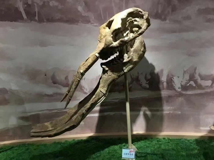 �������ݡ��߽��������̽Ѱ����˵����ʯͷ��