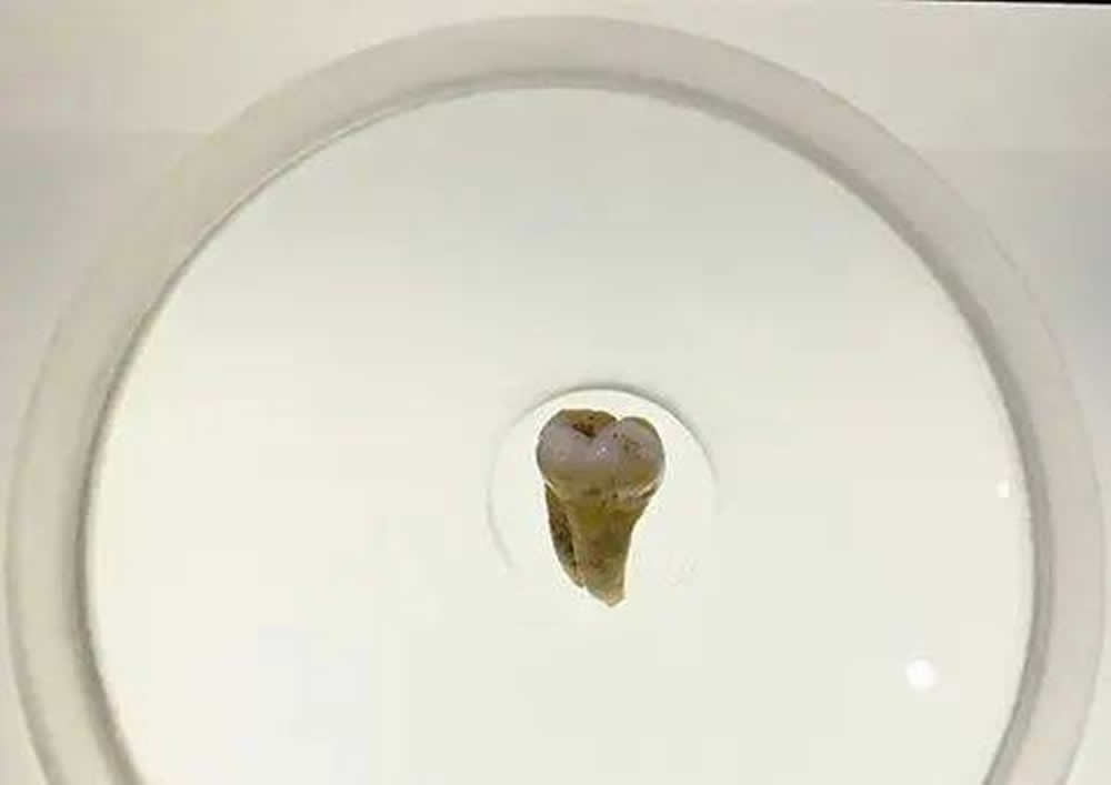 ����ʡ��������֣�������ʯ��ʱ����ַ��Ϊ�����ִ����ݻ��ṩ����