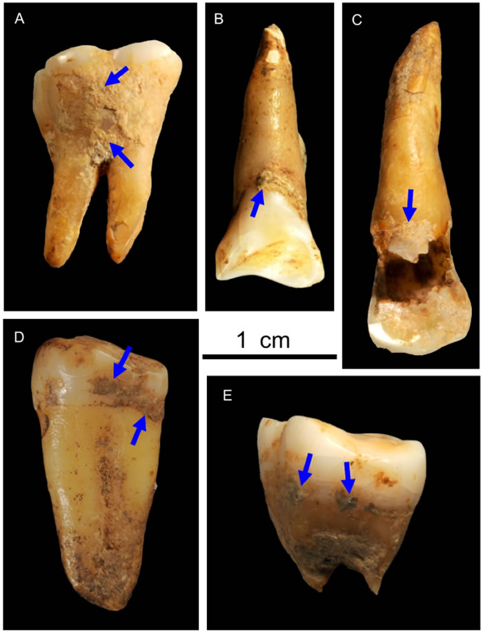 ��Ⱥ������8-12����ǰ�ͻ�����