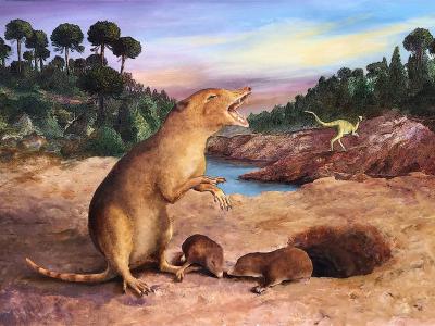 古生物学家确定已知最早的哺乳动物：生活在2.25亿年前的Brasilodon quadrangularis