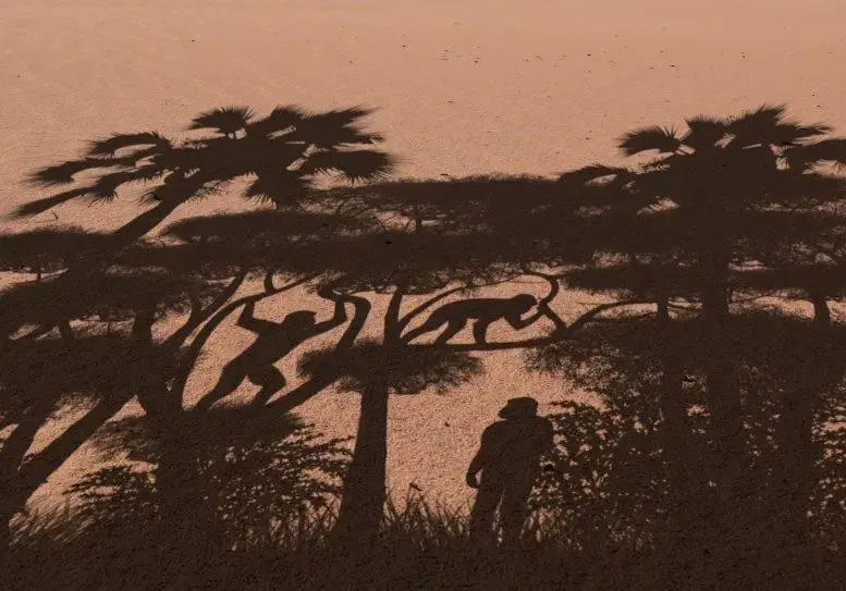 �����о�����700����ǰէ��ɳ���˿���ֱ������