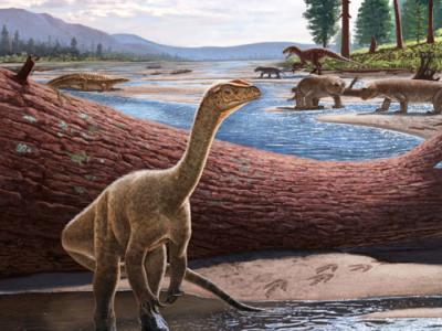 《自然》：最早的恐龙集中在盘古大陆南端温带区