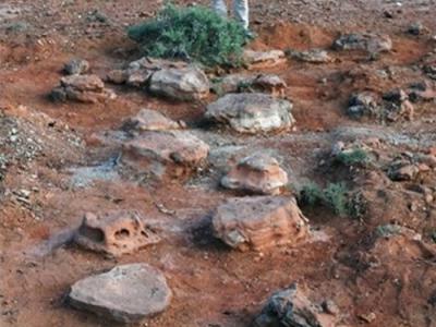 日本冈山理科大学团队在蒙古戈壁沙漠发现超过1千个白垩纪末期的恐龙足迹化石
