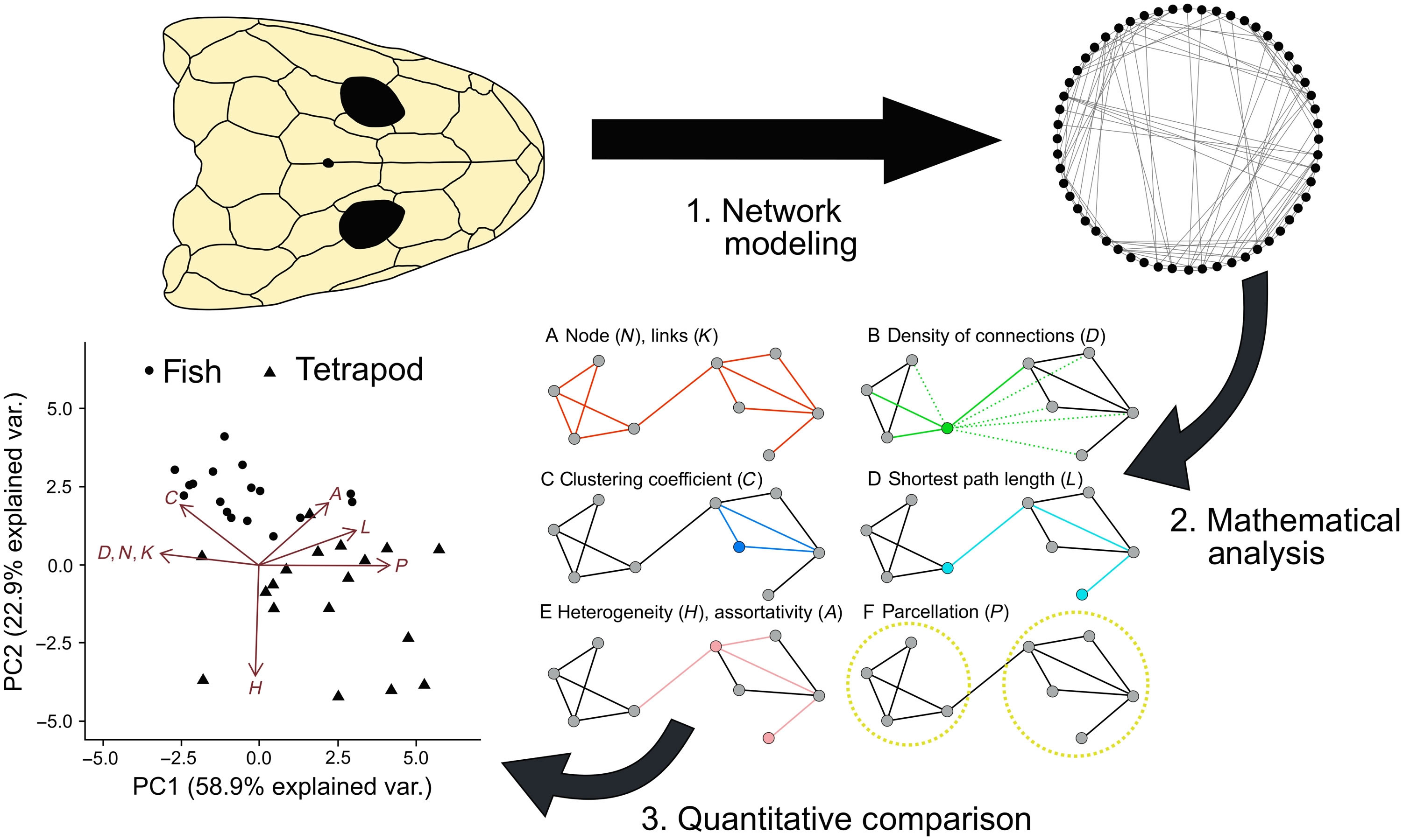 ����ѧ��չ����־�����㶯���ͷ��������������������Ľ���