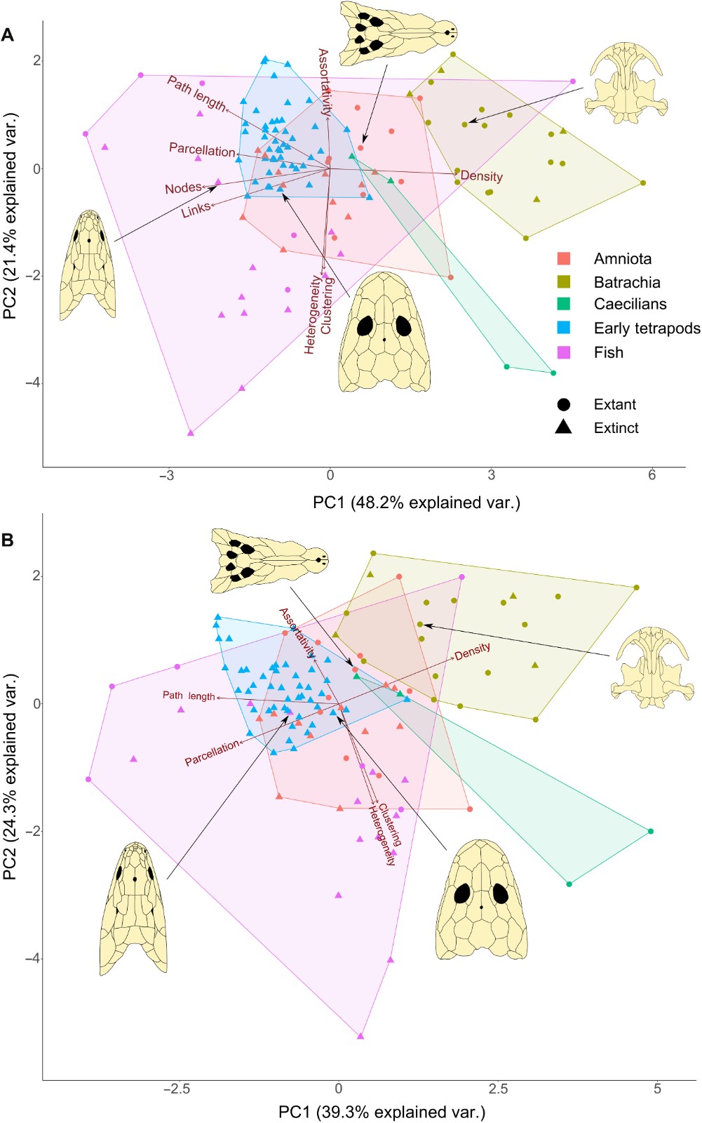 ����ѧ��չ����־�����㶯���ͷ��������������������Ľ���