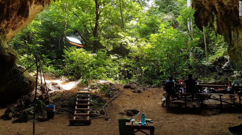 3.1����ǰ�������֫����