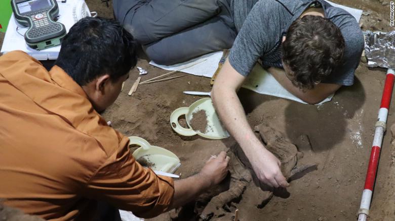 3.1万年前的人类截肢手术