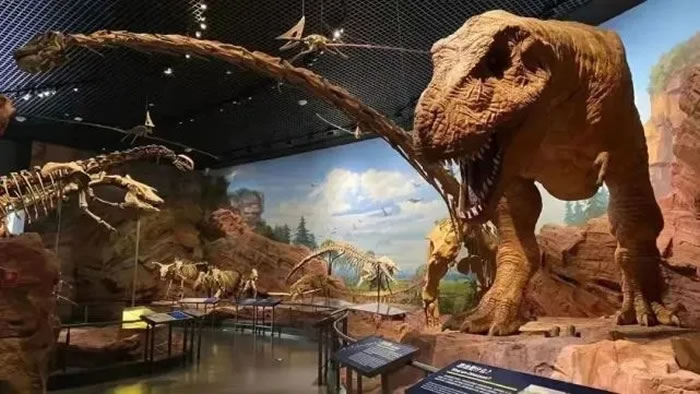 �ν���ʯ��������Ȼ�Ų�����ݻ��������ٻ���ʱ������ݰٴ����չ����Ʒ������