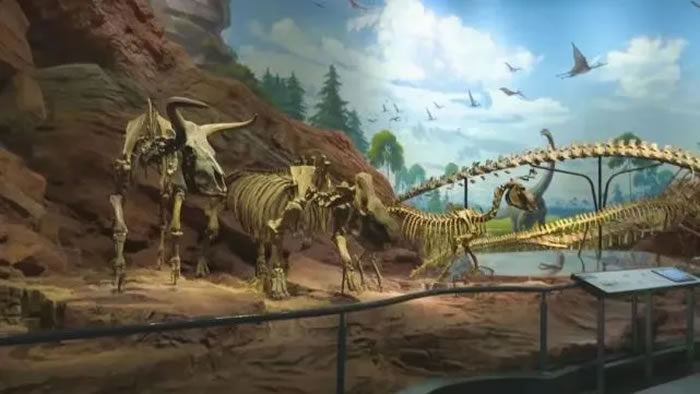 �ν���ʯ��������Ȼ�Ų�����ݻ��������ٻ���ʱ������ݰٴ����չ����Ʒ������