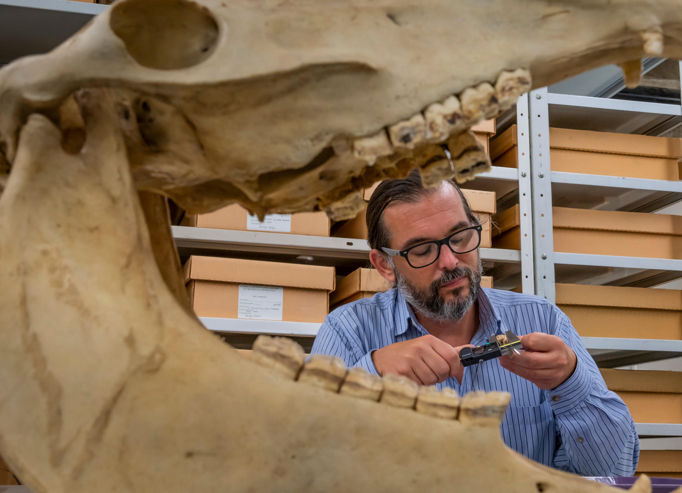 �µ�DNA֤�ݸ�д������������ʷ