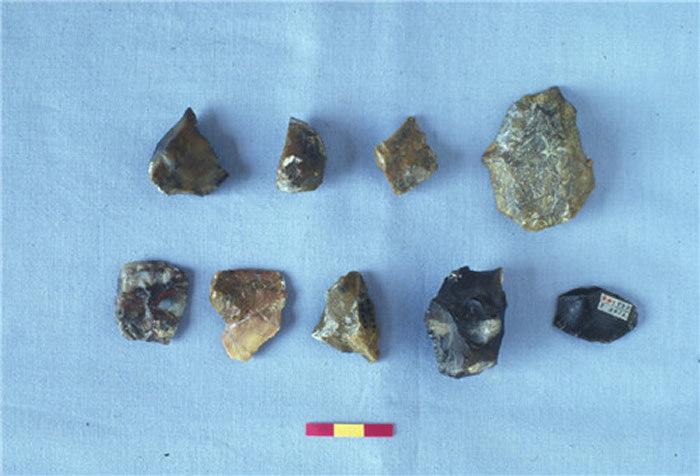 �����������緢�ֵĳ��������Ļ���ַ����С������ַ