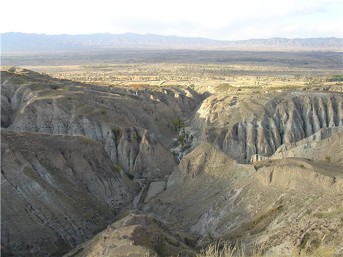 �����������������Ļ���ַ������Ȧ����ַ