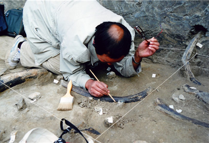 �����������������Ļ���ַ������Ȧ����ַ