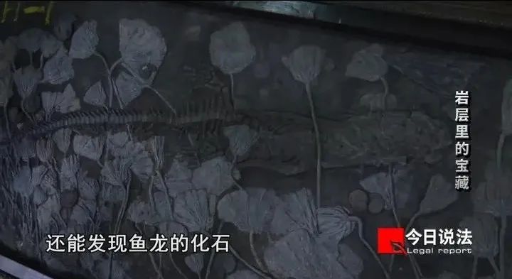 ���������ʯ���ۣ�Ů�ӵ�����ǧ����ǰ���������µ�����ʯ�����̾���