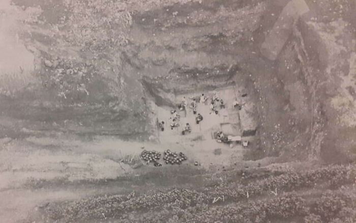 �˹����ܽ�ʾ100����������û�֤��