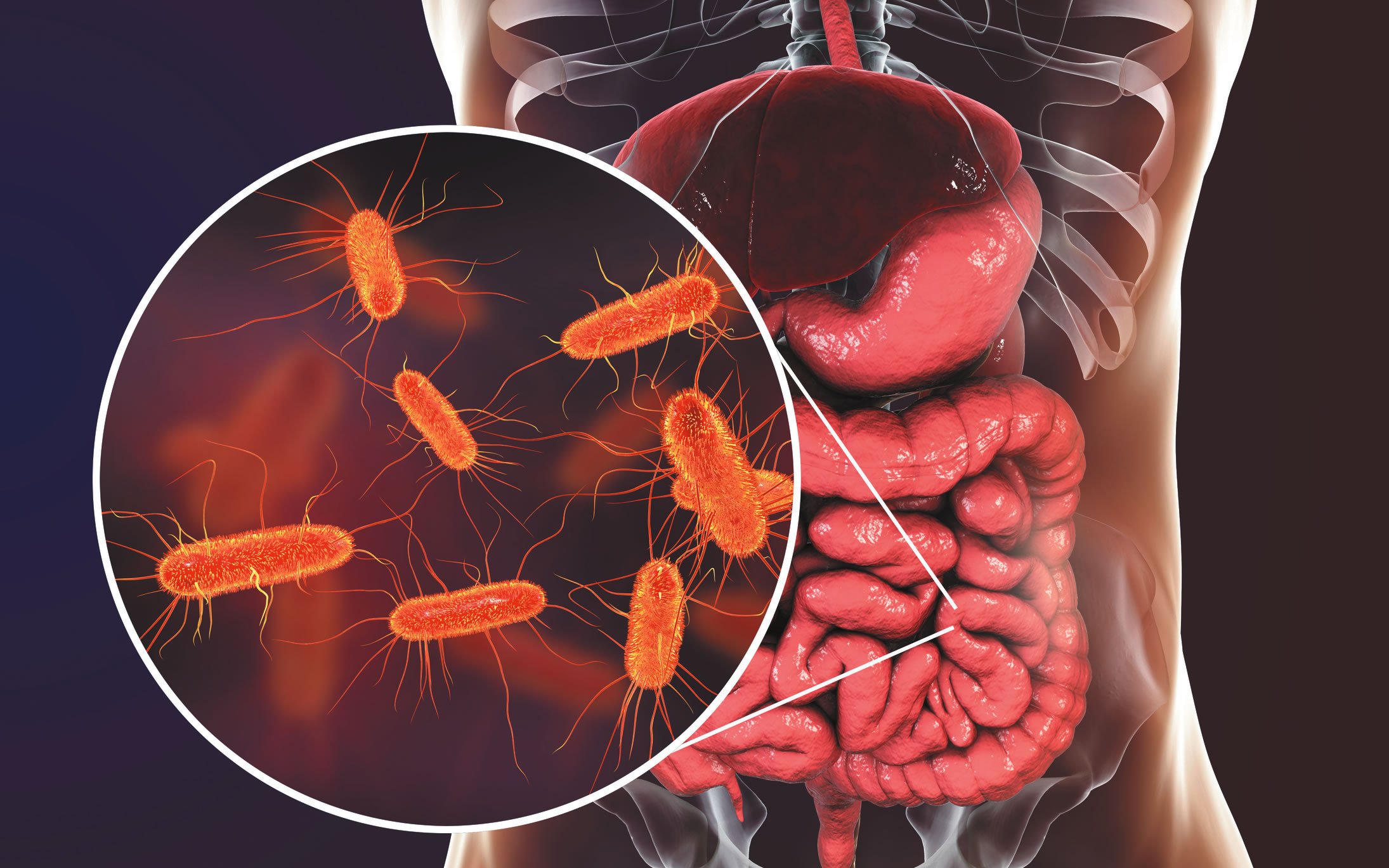 ����΢����������������������ʷ