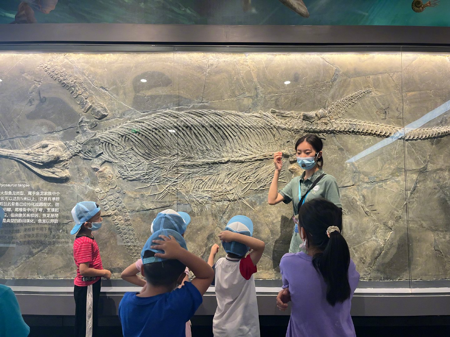 �Ͼ������Ρ�Ѳ�����Ĺ�칫��ַ��̽�ع����ﲩ��ݡ���ʽ����