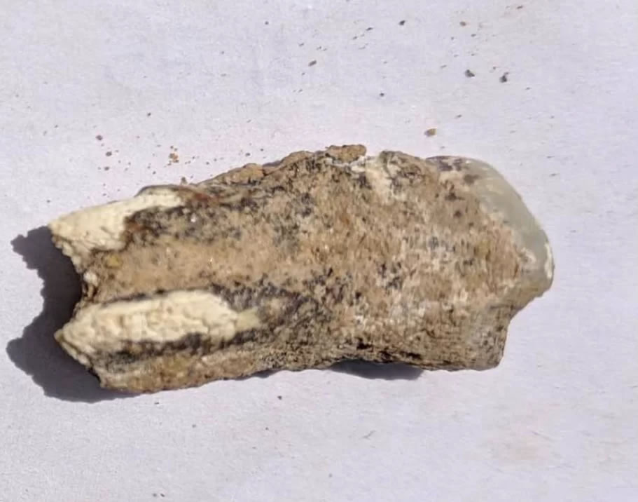 ��³���ǳ���180����ǰ���������ݻ�ʯ �Ƿ����������������