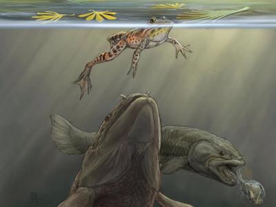 美国犹他州1.5亿年前呕吐物化石揭示一个古代捕食者谜团