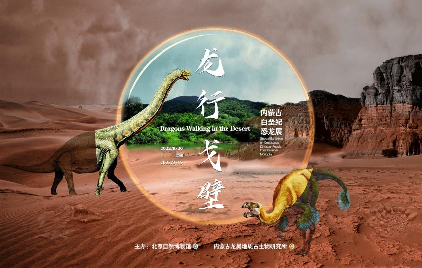 北京自然博物馆：“龙行戈壁——内蒙古白垩纪恐龙展”开展