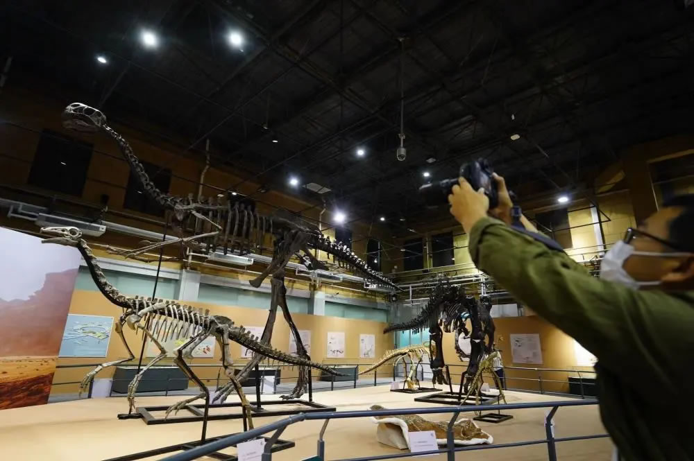 北京自然博物馆：“龙行戈壁——内蒙古白垩纪恐龙展”开展