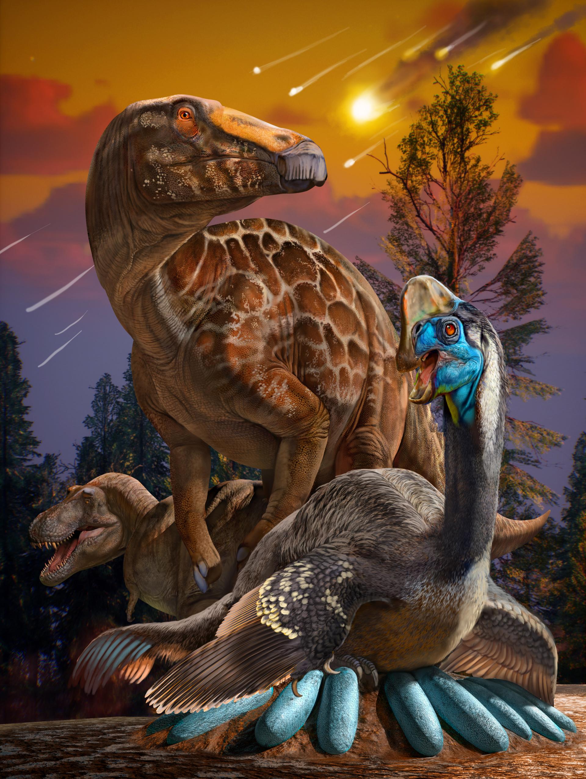 中国恐龙蛋化石的研究揭示恐龙灭绝新机制