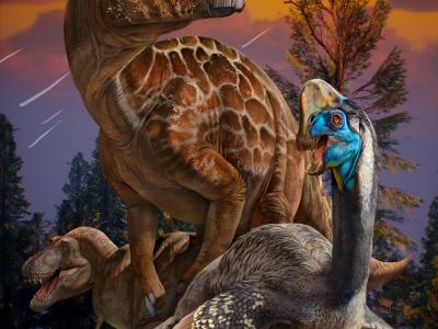 中国恐龙蛋化石的研究揭示恐龙灭绝新机制
