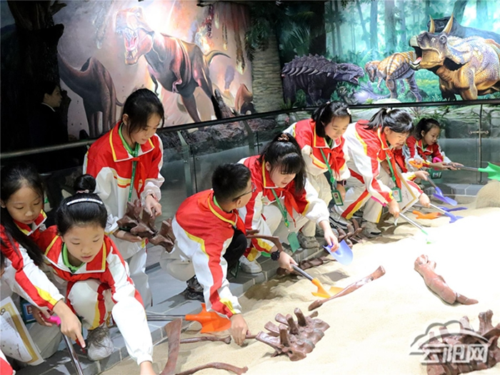 ������չ�������������ɫ�Ƽ����ս������