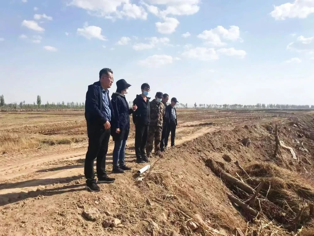 �����ǡ���������ô�죿����������ǿ�����ԡ�������̬������