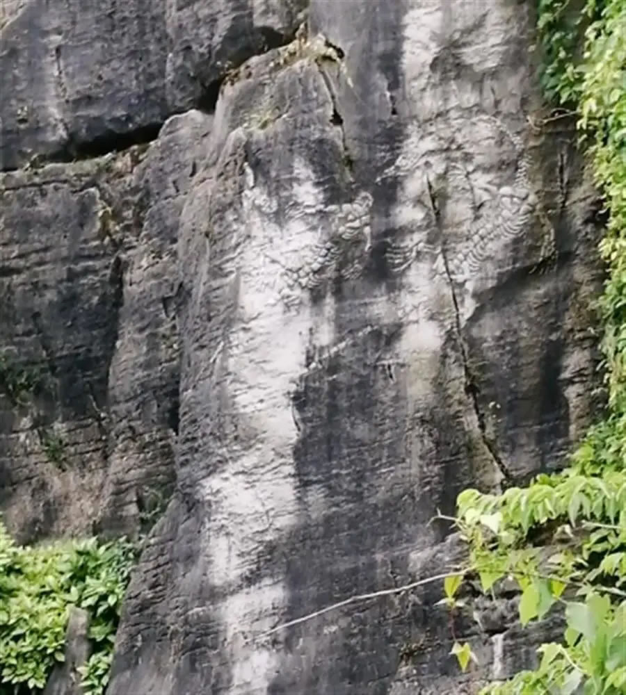 贵州贵阳喀斯特公园北石林石壁上出现两亿年前化石？管理处回应：北石林没有恐龙化石