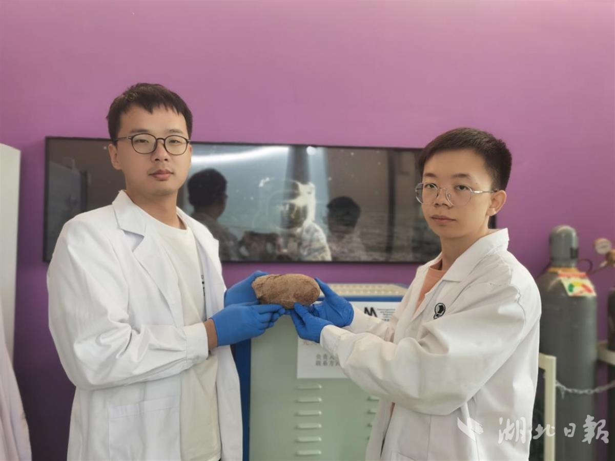 ����С����ײ����������? �о����ֿ���������ܻ�����ԭ��