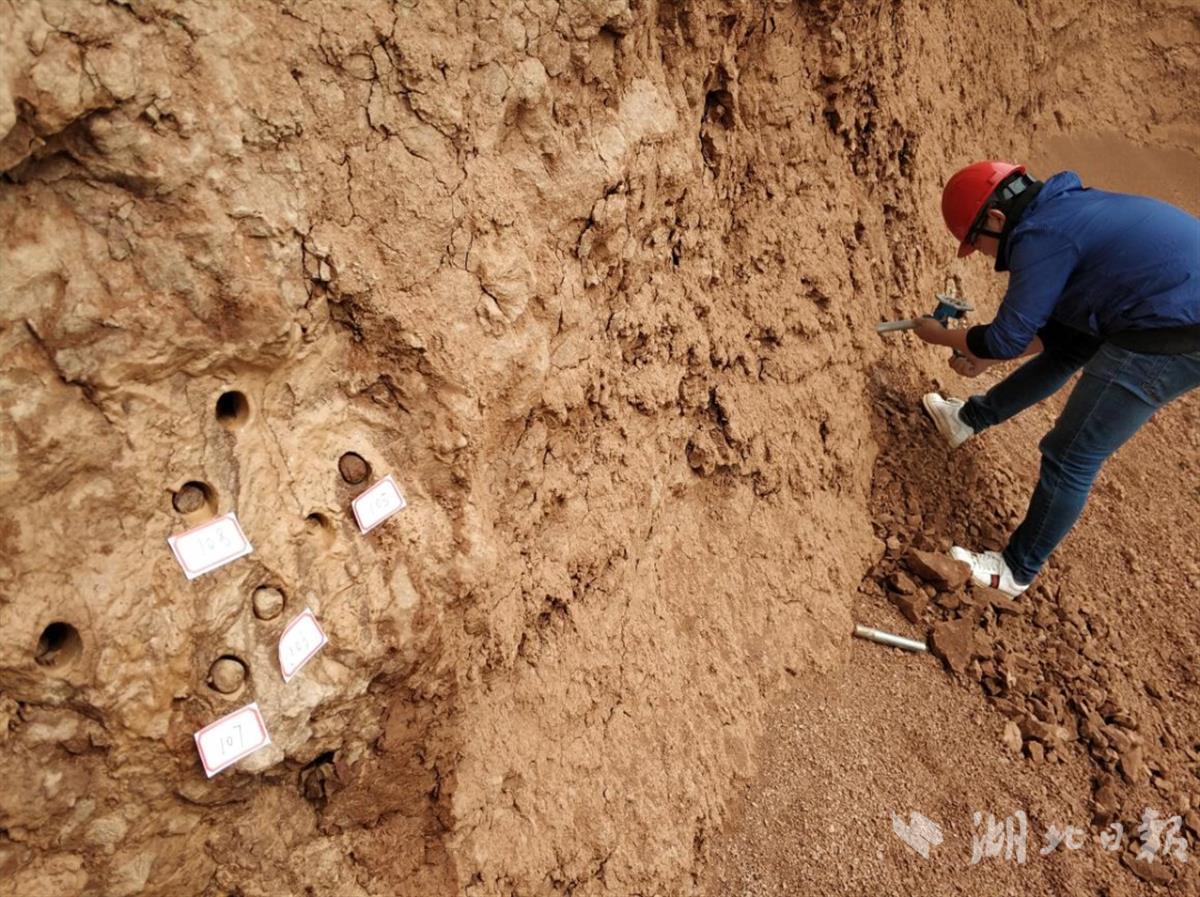 ����С����ײ����������? �о����ֿ���������ܻ�����ԭ��