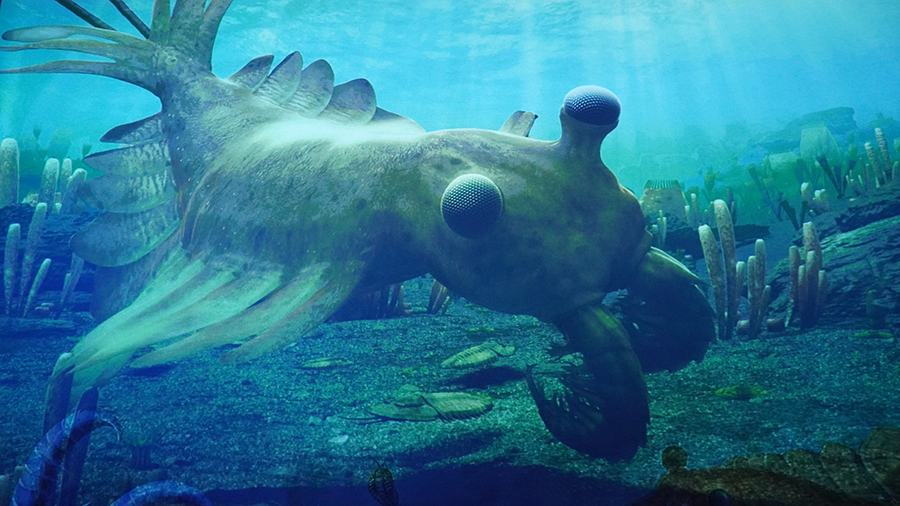 �ν�����Ⱥ��Ϻ��ʯ�о��������֣�ñ��ɽ����Ϻ