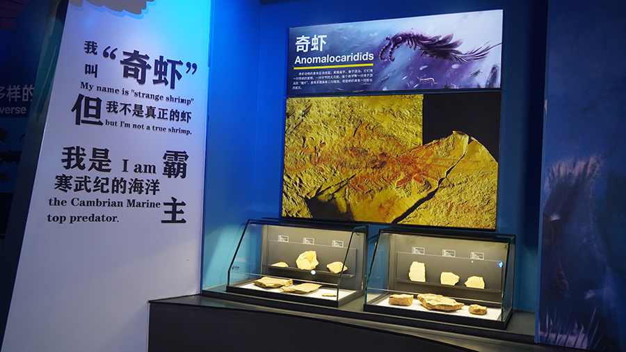 �ν�����Ⱥ��Ϻ��ʯ�о��������֣�ñ��ɽ����Ϻ