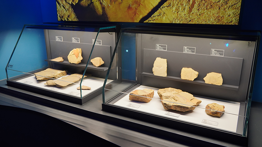 �ν�����Ⱥ��Ϻ��ʯ�о��������֣�ñ��ɽ����Ϻ