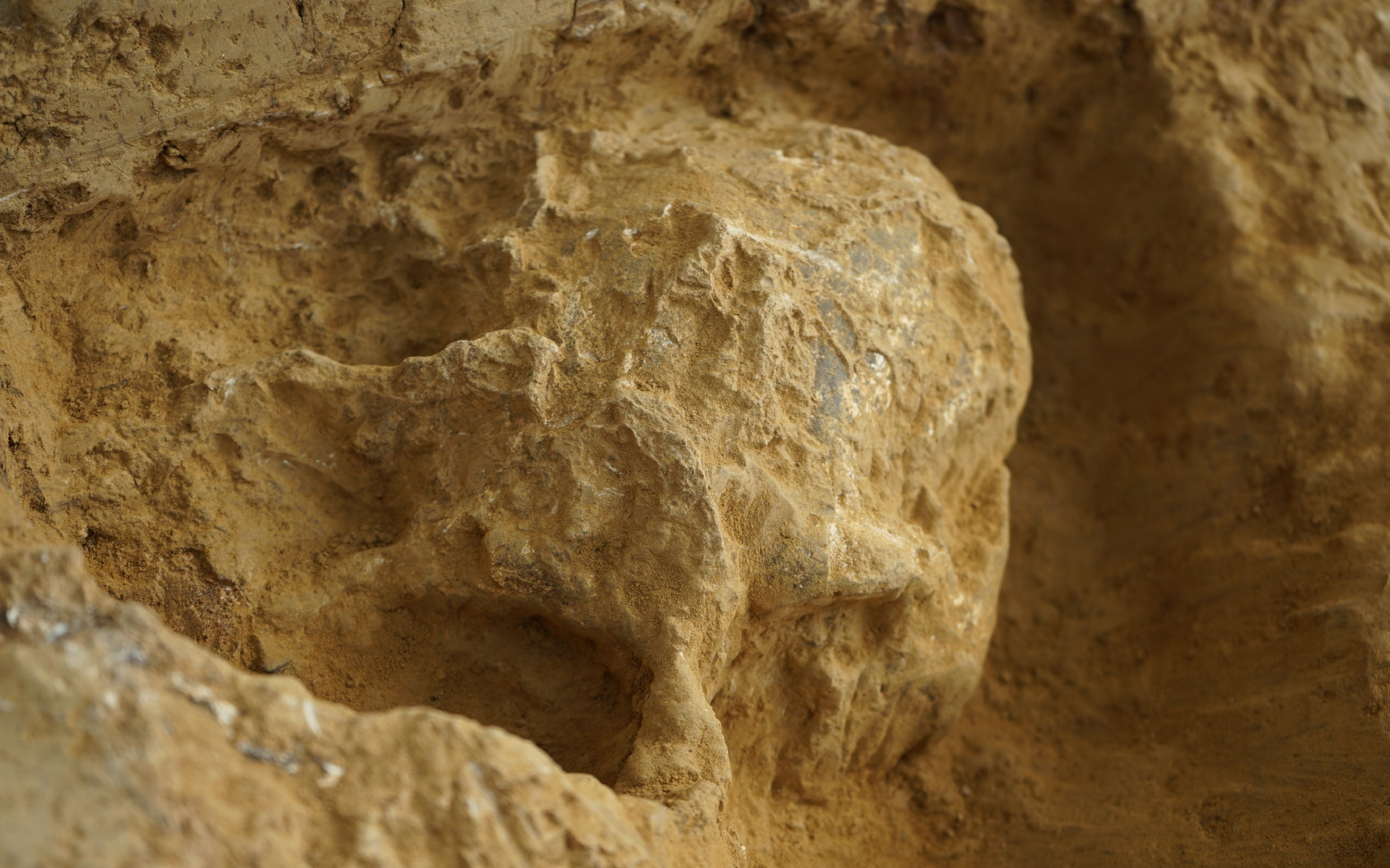 ��������ѧ��������ַ�·��֣����Լ100����ġ������ˡ�3��ͷ�ǻ�ʯ