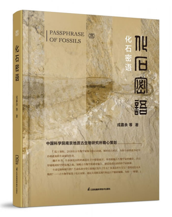 ����ʯ���