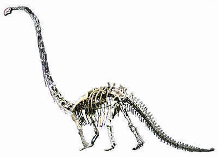 �Թ����������2�������ִ�������ѧ�͵ز�ѧ�����ص�ʵ������׼����