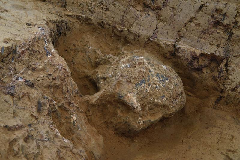 ����ʮ��ѧ��������ַ�������ˡ�3��ͷ�ǻ�ʯ������Щ�·��֣�