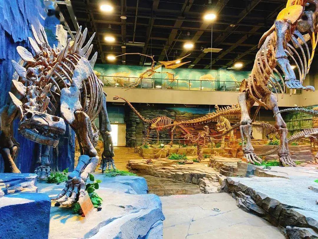 延吉恐龙博物馆“科学与艺术”古生物复原画展10月1日开展