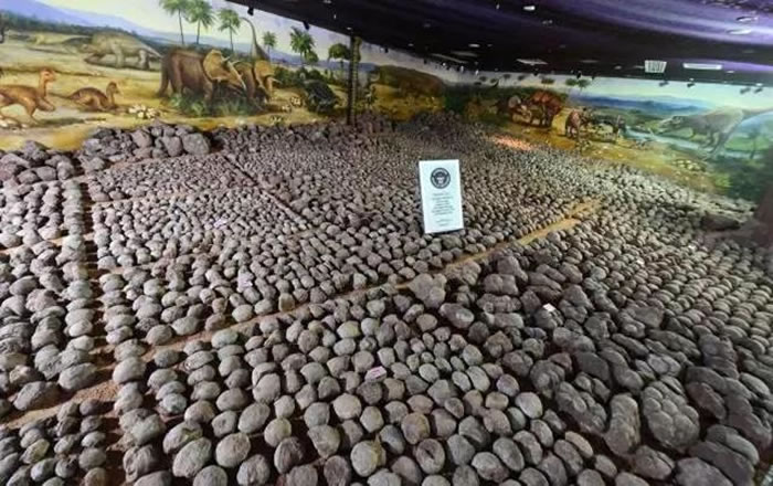 河源恐龙博物馆以高达20025枚的恐龙蛋化石馆藏数量高居全球榜首
