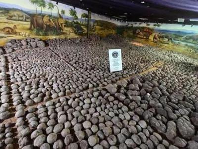 河源恐龙博物馆以高达20025枚的恐龙蛋化石馆藏数量高居全球榜首