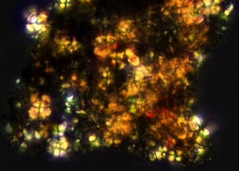 �����ǿ�����ַ�����з��ֶ���������� ������࿪ʼ����ʱ����ǰ��1.2����ǰ