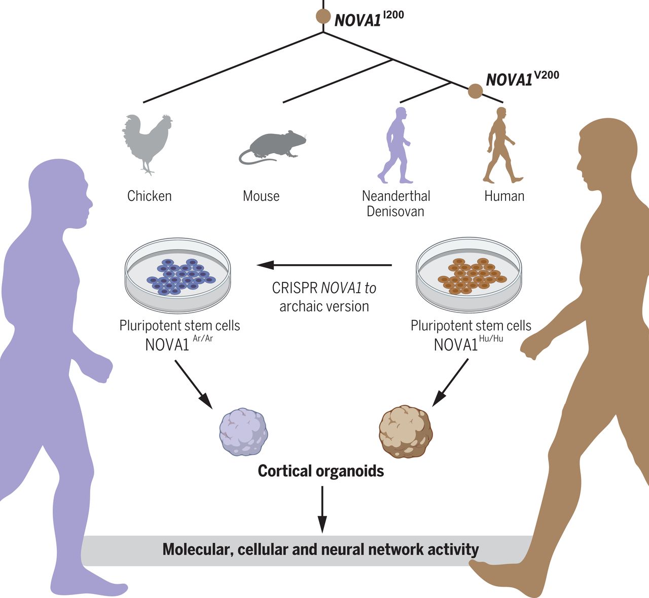 �ִ�����������������кβ��졪�����2022��ŵ��������ѧ��ҽѧ��