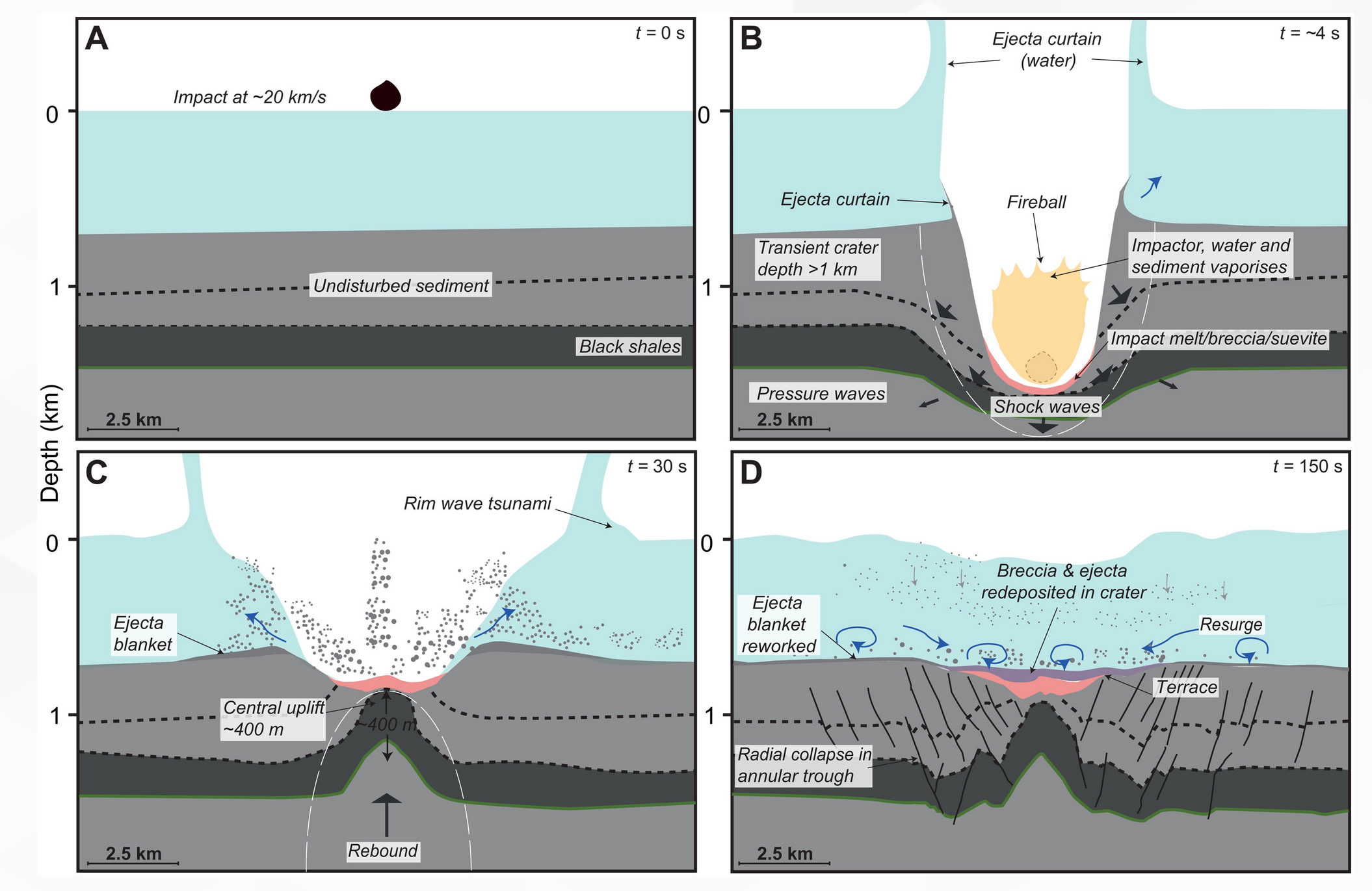 6600万年前让恐龙灭绝的小行星撞击引发了毁灭性的全球海啸